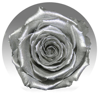 Red Velvet Heart Box with Mini Roses Red Velvet Heart Box with Mini Roses