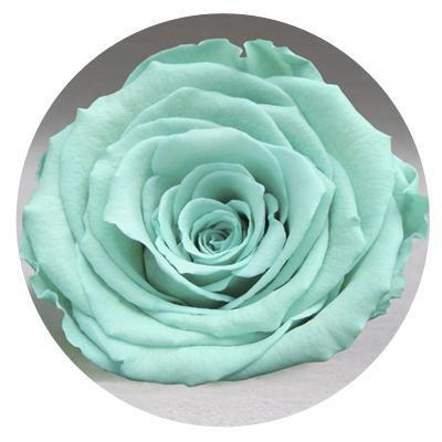 Diamond Dome Mini Diamond Dome Mini