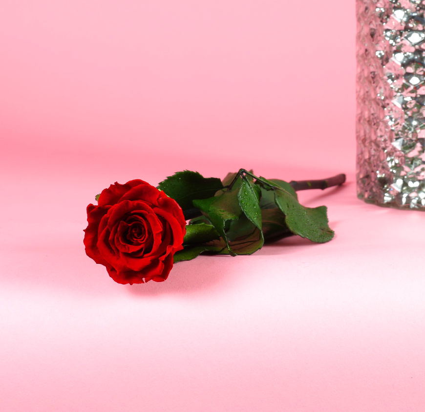 Long Stem Forever Roses Long Stem Forever Roses