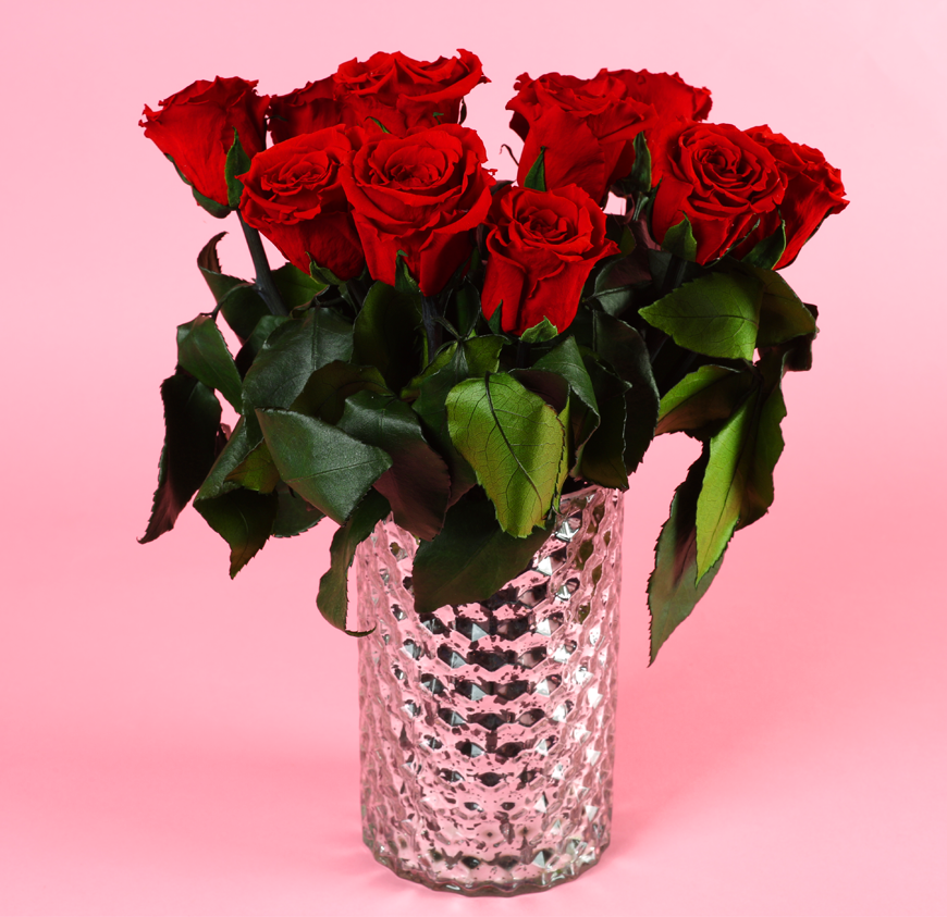 Long Stem Forever Roses Long Stem Forever Roses