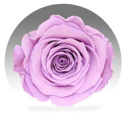 Red Velvet Heart Box with Mini Roses Red Velvet Heart Box with Mini Roses