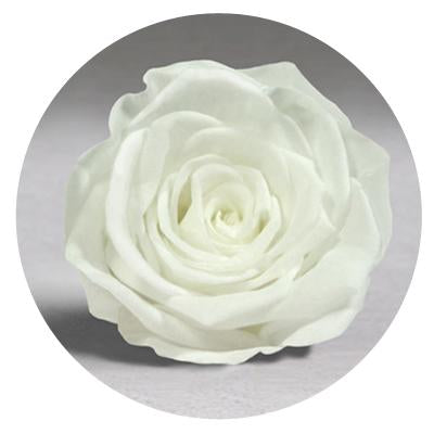 Red Velvet Heart Box with Mini Roses Red Velvet Heart Box with Mini Roses