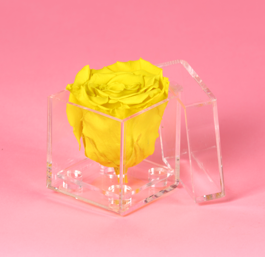 Diamond Box Diamond Box